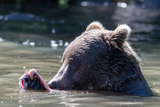 Lake Clark National Park