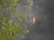 Wrangler St. Elias National Park