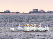 North Padre Island National Seashore
