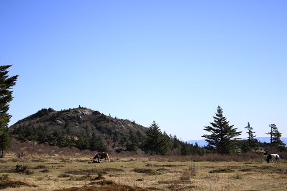 Jefferson National Forest