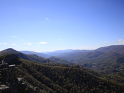 Monogahela National Forest