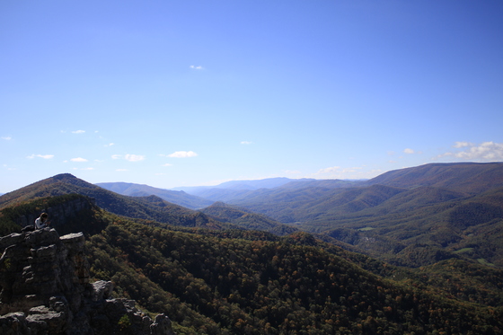 Monogahela National Forest