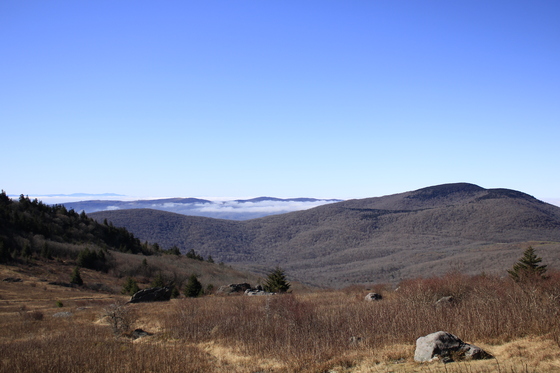 Jefferson National Forest