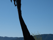Mesa Verde National Park