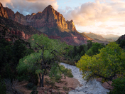 Zion National Park