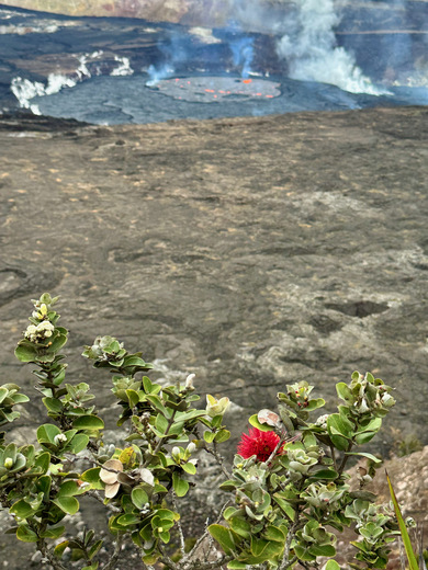 Hawai'i Volcanoes National Park