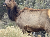Grand Canyon National Park