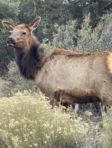 Grand Canyon National Park