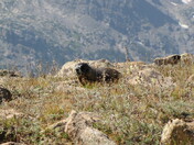 Rocky Mountain National Park