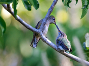 Don Edwards San Francisco Bay National Wildlife Refuge