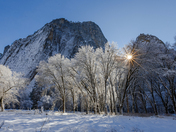 Yosemite National Park