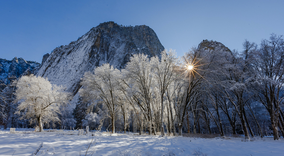 Yosemite National Park