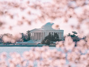 National Mall and Memorial Parks