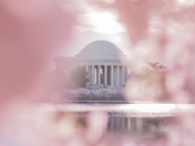 National Mall and Memorial Parks