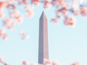 National Mall and Memorial Parks