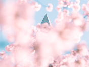 National Mall and Memorial Parks