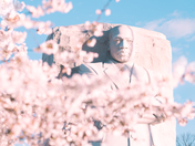 National Mall and Memorial Parks