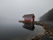 A Shed's Silent Watch