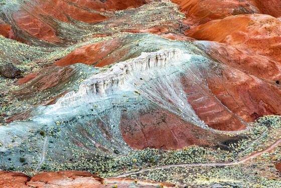 Petrified Forest National Park
