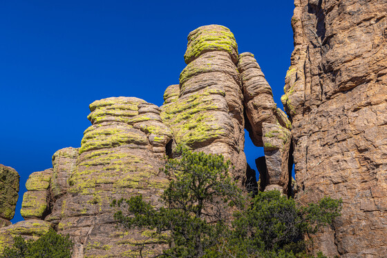 Chiricahua National Monument