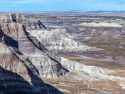 Petrified Forest National Park