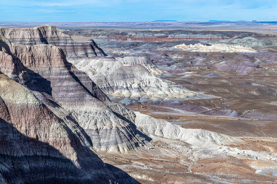 Petrified Forest National Park