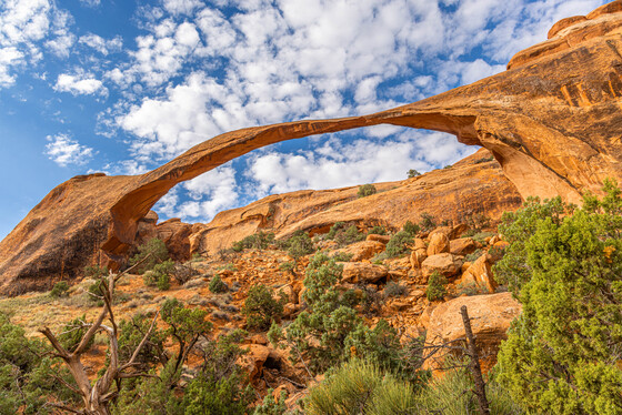 Arches National Park