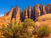 Arches National Park