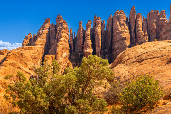 Arches National Park