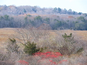 Parker River National Wildlife Refuge