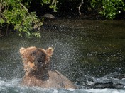 Katmai National Park and Preserve