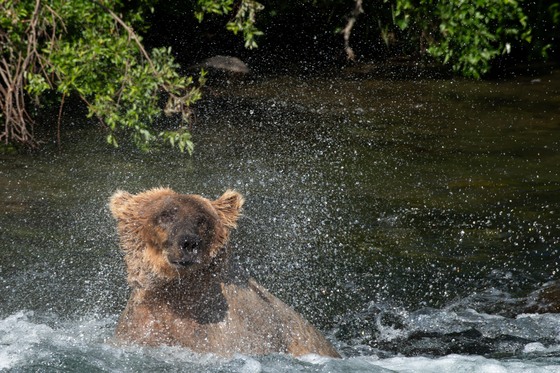 Katmai National Park and Preserve