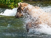 Katmai National Park and Preserve
