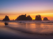 Olympic National Park