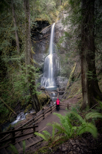 Olympic National Park
