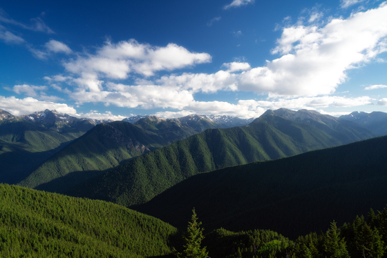 Olympic National Park