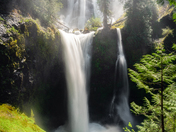 Gifford Pinchot National Forest