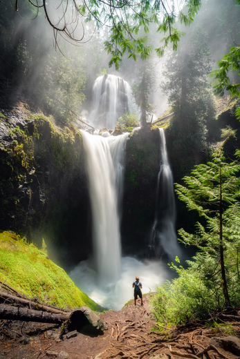 Gifford Pinchot National Forest
