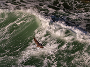 California Coastal National Monument