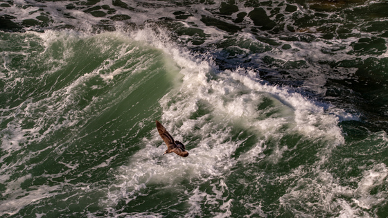 California Coastal National Monument