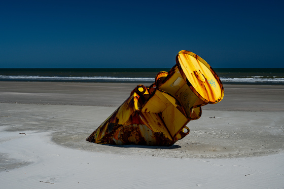 Cumberland Island National Seashore