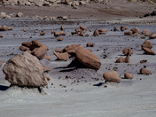 Petrified Forest National Park