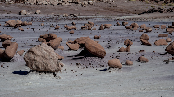 Petrified Forest National Park