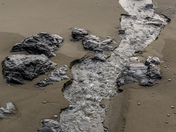 Redwood National Park