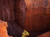 Bryce Canyon National Park