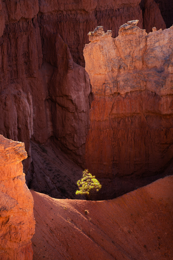 Bryce Canyon National Park
