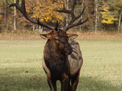 Great Smoky Mountain National Park