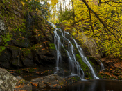 Great Smoky Mountain National Park