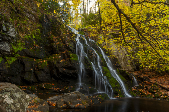 Great Smoky Mountain National Park