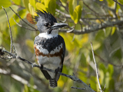 Merritt Island National Wildlife Refuge